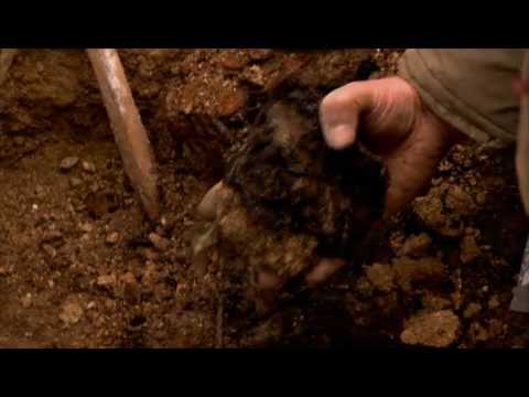 Finding The Fallen - SE2 - Episode 8 - Highland Warrior - Trench Detectives