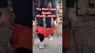 More Loyal | Funny Shorts #funny #husband #loyal #shortsfeed