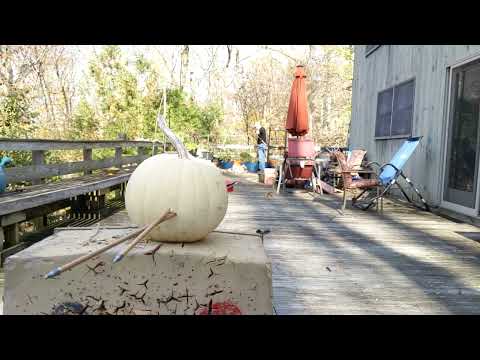 Piercing pumpkins with a longbow. Aim small.