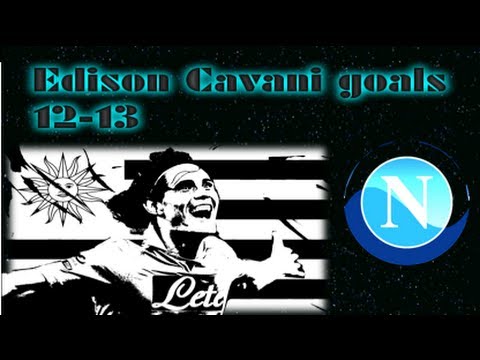 Edison Cavani- all 28 goals 2012-13 season napoli