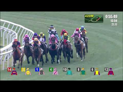 14/2/2021 (427) Master Montaro - Vincent Ho