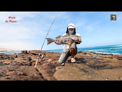 Bass, sole and grouper fishing. // Fishing with lures, flounder, corvinas and seabasses