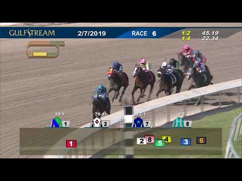 Gulfstream Park February 7, 2019 Race 6