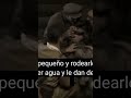 14SOLDIER BOY