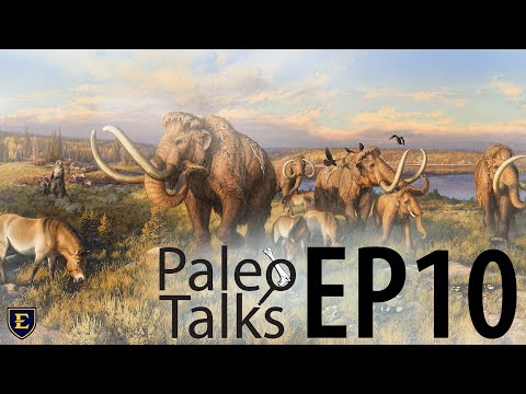 Ice Age Mammals of Alberta[Paleo Talks EP 10]