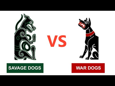 1v1 SAVAGE DOGS vs WAR DOGS - Total War ROME 2