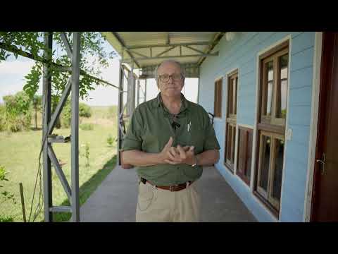 Proyecto FPTA 360 Sostenibilidad del ovino en sistemas ganaderos mixtos -  Fernando Ravaglia