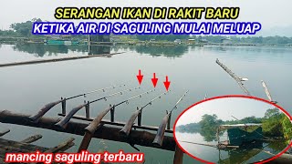 Download lagu SERANGAN IKAN DI RAKIT BARU KETIKA AIR MULAI PASANG || MANCING SAGULING TERBARU 2026 mp3