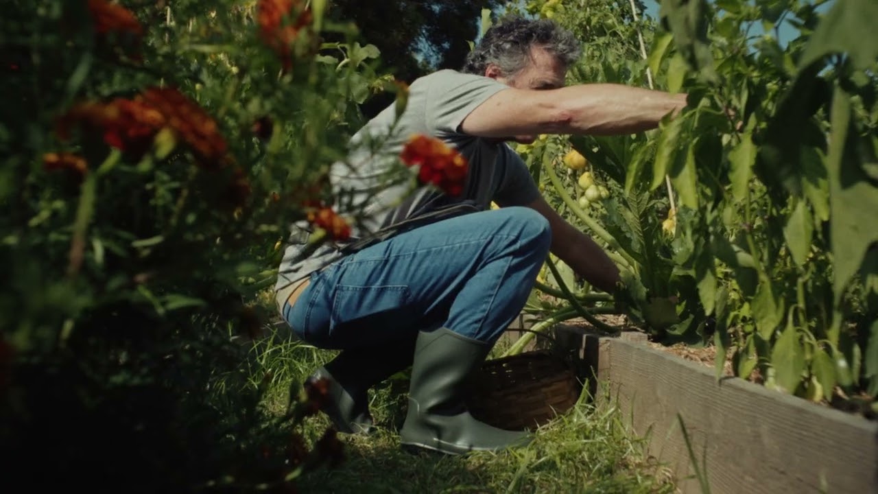 Kutxabank - Pensiones