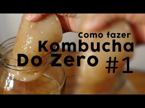 Vídeo: Kombucha em casa: perguntas e respostas