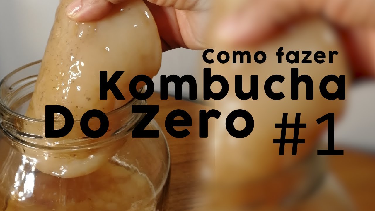 Como Fazer KOMBUCHA do ZERO #1