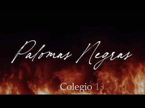 Palomas Negras de Agüero