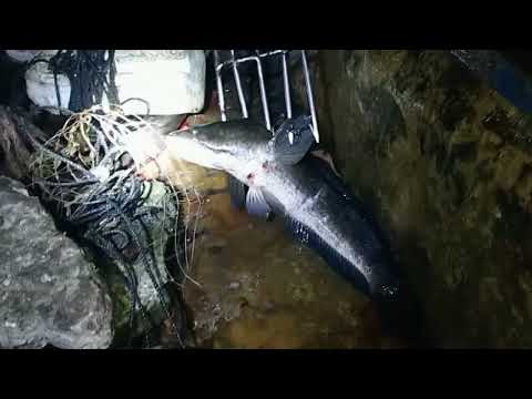 SE01EP058 - MAMAW | San Pablo City, Laguna