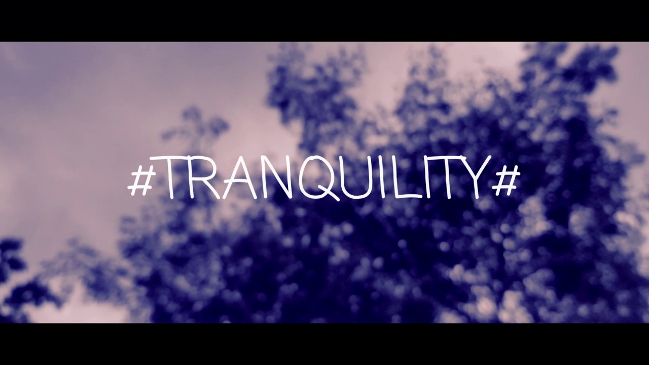 Tranquility (cinematic) | Samsung Note 8 | DJI Osmo Mobile 2