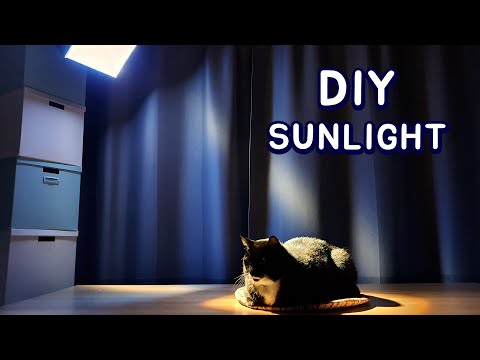 DIY Artificial Sunlight for My Cats - YouTube
