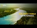 The Green World of Botswana | Africa's Deadliest | Full Episode | S07-E01 | हिंदी | #NatGeoIndia