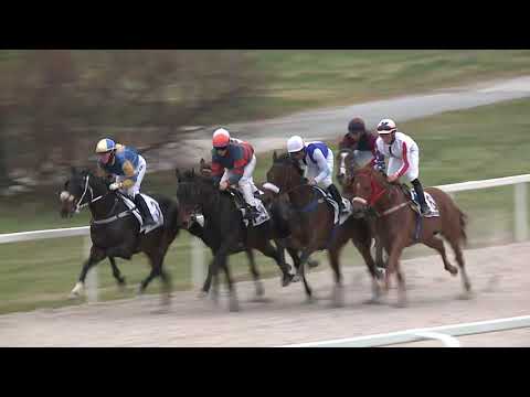 2021.04.18. 08. futam - IGAZGATÓSÁGI DÍJ (Elit kat.) (szintetikus pálya)