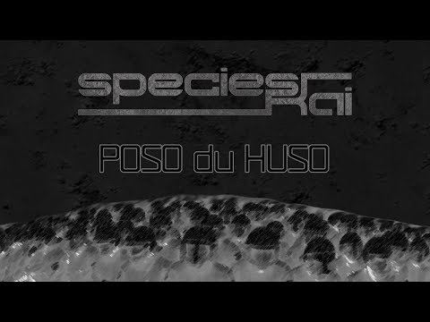 species Kai - POSO du HUSO