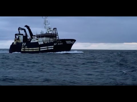 Celebrity Trawlermen | UK Celebrities try to Deep Sea Fish - Deadliest Catch!