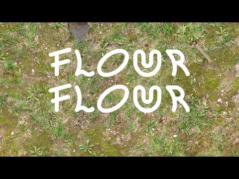 Flour Flour - Become Animal (Official Lyric Video)