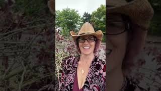 A Tree Too Weak To Stand