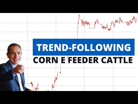 Strategie Trend Following su Corn e Feeder Cattle – Anche per pochi capitali (con Performance)
