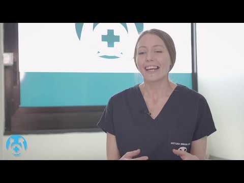 Cosa fare quando troviamo un animale selvatico in strada