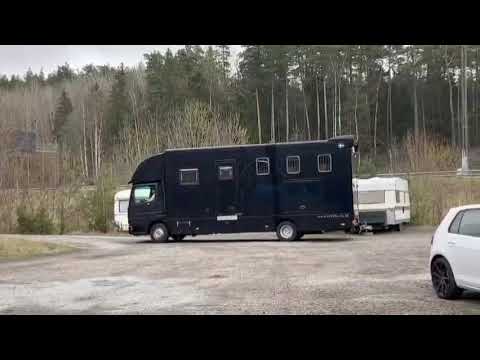 Hästtransport Mercedes Benz  Atego 815
