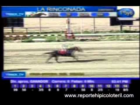 Resumen Sábado 23 de Julio de 2011 - La Rinconada