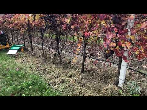 Decespugliatrice per vigneto - Bruschcutter for vineyards 6