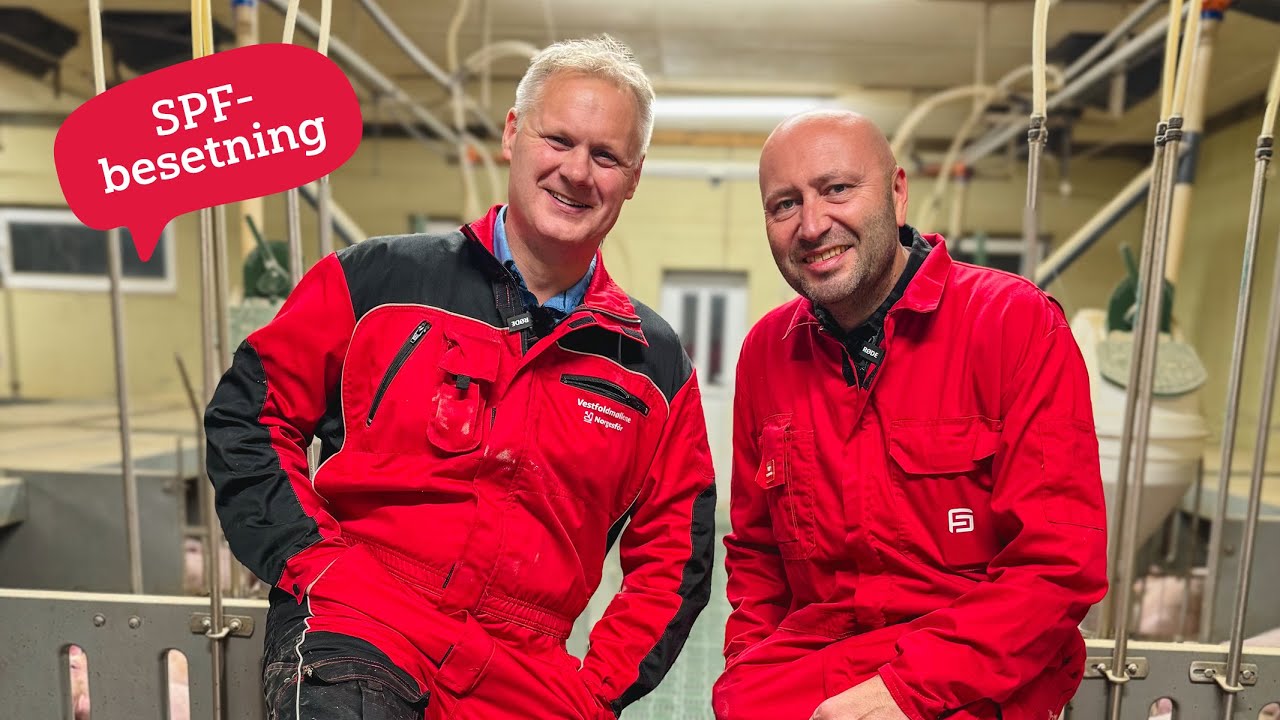 Nils Terkelsens griseproduksjon