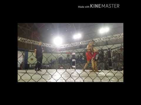 MMA In Brazil  Saleem albakri 🆚 celso Ricardo