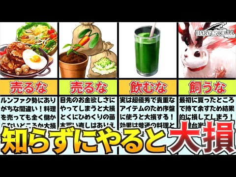 [HARVESTELLA] 6 Things You Shouldn't Do to Lose Money [HARVESTELLA]