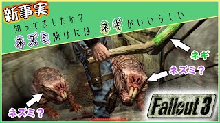 新事実‼ネズミには、ネギがいいらしい!? [FALLOUT3(フォールアウト3)]