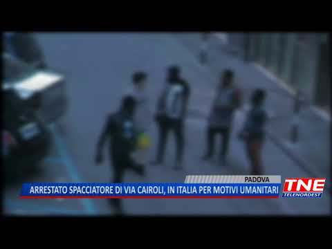 TG (02/05/2018) - ARRESTATO SPACCIATORE DI VIA CAIROLI, IN ITALIA PER MOTIVI UMANITARI