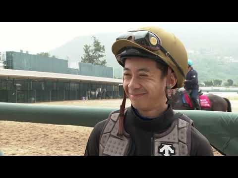 Race previews – Happy Valley 28/01/26