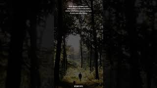 Download lagu STORY WA  KEREN π€ || KERJA KERAS DI MASA MUDA mp3 Download lagu STORY WA  KEREN π€ || KERJA KERAS DI MASA MUDA mp3