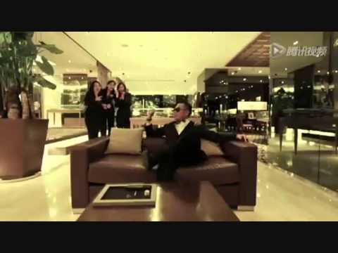 Pan Ambasador tańczy dla mnie (Ona tańczy dla mnie in a Gangnam Style)