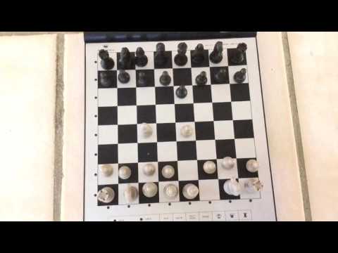 My Favorite Chess Game!