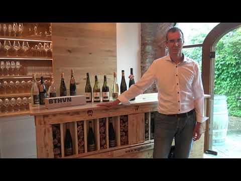 Weintaxi Wiesbaden - Weingut Wegeler - Vorstellung