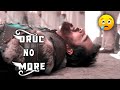 Oruc No More Oruc Reis Death Scene ️Other Perspective