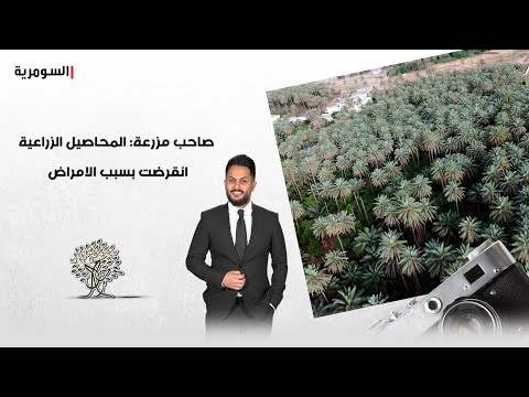 فيديو | صاحب مزرعة: المحاصيل الزراعية انقرضت بسبب الامراض!