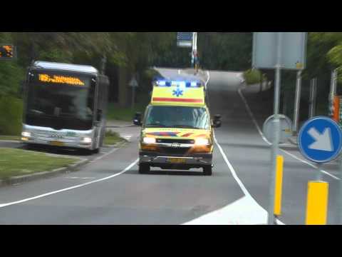 A1 AMBU 17166 Leeuwerikenhof  Rozenburg Zh bon 39540