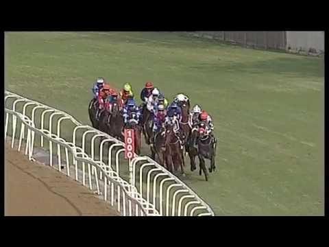 2017.07.30 Thekwini Stakes (RSA) - Lady In Black