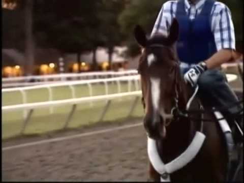 Rachel Alexandra -- Arise