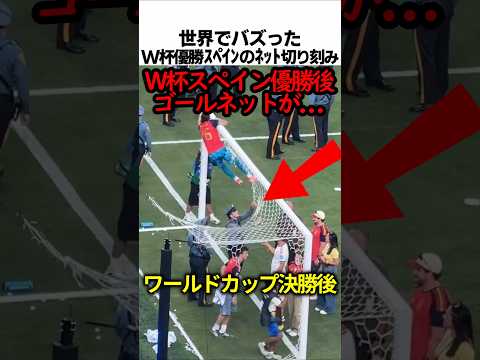 ワールドカップ優勝スペインのゴールネット切り刻み