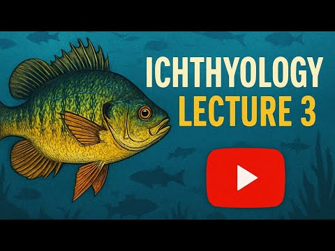Ichthyology - Lecture 3 | Blood Cells & Heart Function | Circulatory System of Fish Explained
