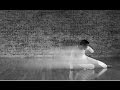 Anthony Lee - Contemporary dance solo "Sleep ...