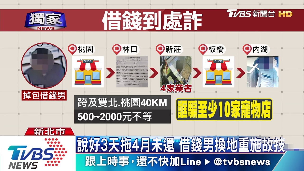 涉詐逾10寵物店　借錢男疑踢鐵板轉北市