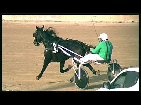Trotto 23/10/2020 - 5ª corsa